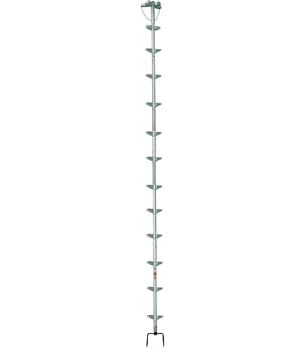 Amazon | 巴化成工業 ロッキーラダー1 /AW-6 (2m×3) 全Wステップ 木